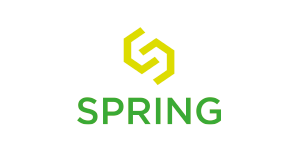 Logo Cluster Spring